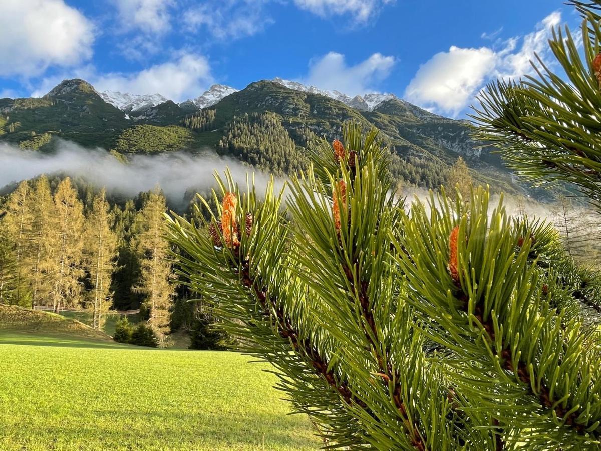 Apartmán Adlerhof Leutasch Exteriér fotografie